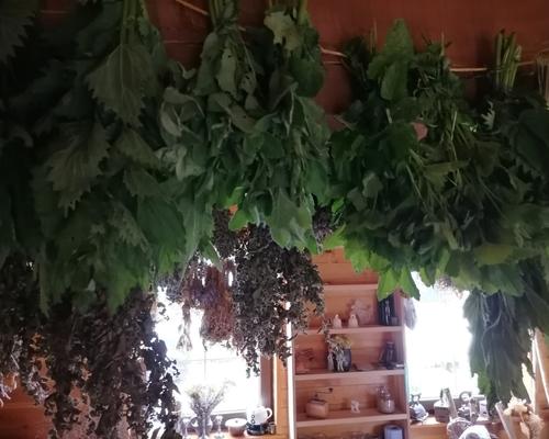 Warsztaty zielarskie